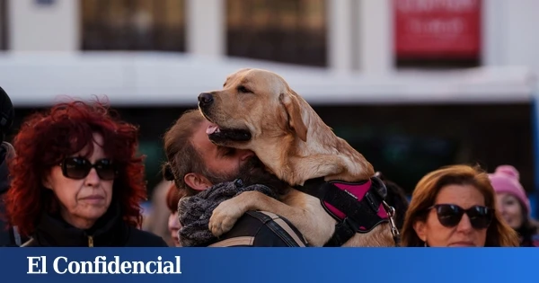Adiós a los 7 años: esta fórmula matemática permite calcular con exactitud la edad de tu perro