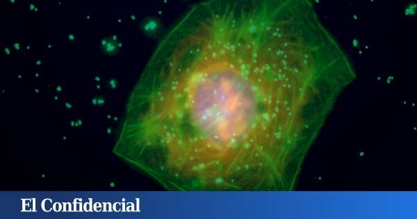 Una plaga global invisible está invadiendo nuestros pulmones y se expande sin control