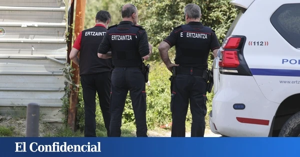 Detenido un hombre tras robar dos videoconsolas dentro de una casa en Amurrio (Álava)