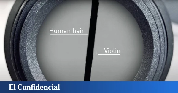 Fabrican un violín tan pequeño que solo lo podría tocar un tardígrado (y no es un invento inútil)