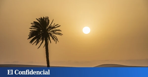 Avisos naranjas y amarillos en Canarias por calor y calima esta semana: estas son las islas afectadas