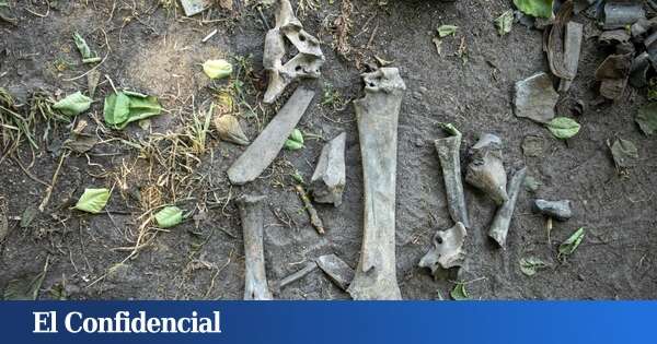 Así enterraban los neandertales y los Homo sapiens a sus muertos, según un estudio