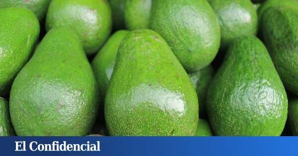 ¿Adiós a los aguacates en España? Esto es lo que dice la ciencia sobre su cultivo