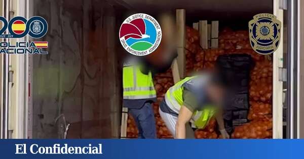 Cae la red más activa de Levante: 11 detenidos por importar cocaína entre cebollas