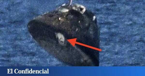 A la nave Orion de Artemis II parece faltarle un trozo y la NASA se ha visto obligada a dar una explicación