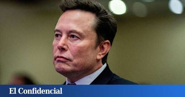 ¿Tras EEUU, Alemania?: Elon Musk y su extraño romance con AfD