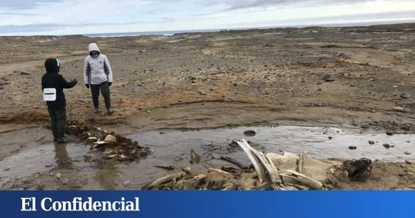 Los glaciares rusos se derriten y dejan a la vista enormes huesos prehistóricos que no deberían estar ahí