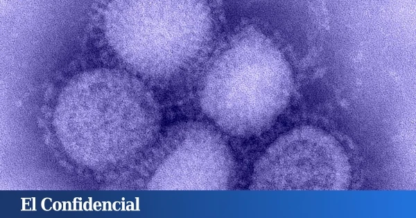 Disparan ultrasonidos contra el virus de la gripe y explota como si fuera de cristal: 