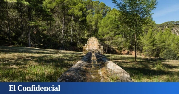 La paradoja de la desertificación: los bosques valencianos crecen más del 45% en dos décadas