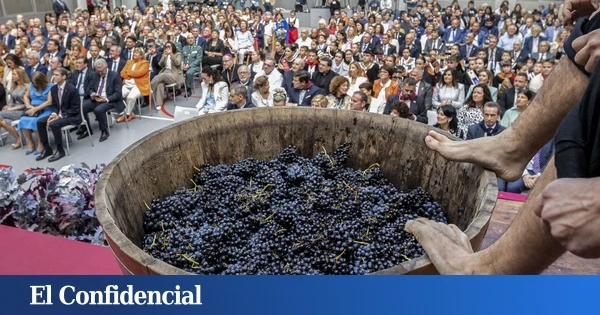 Abierto el plazo para ser vendimiador en las Fiestas de San Mateo 2025 en Logroño: conoce los requisitos