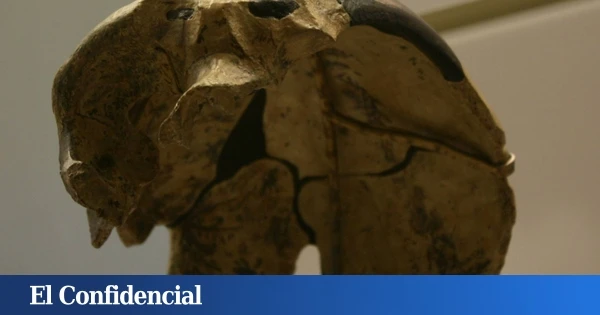 En 1958, China halló un cráneo con 300.000 años: ahora sabemos que no pertenece a ninguna especie humana