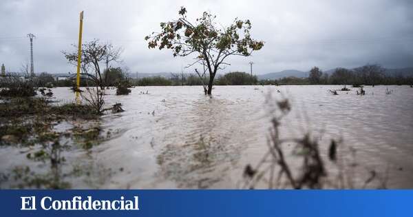 Cambio climático: negación, adaptación e incompetencia