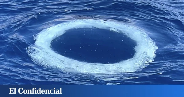 Decenas de anillos aparecen en el mar y la ciencia se pronuncia: pueden ser mensajes 