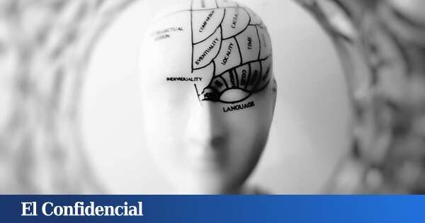 No solo el cerebro: el resto del cuerpo también tiene memoria y puede aprender