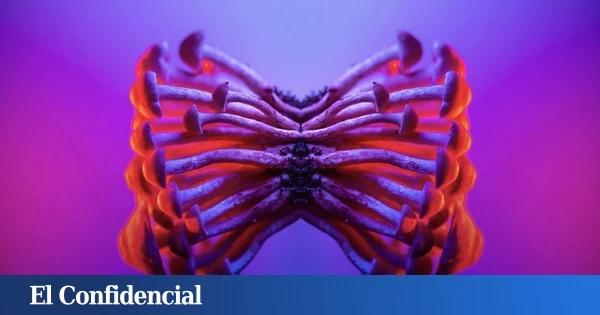 Ni para trabajar ni para estudiar: ya hay gente usando ChatGPT como 'guía de viaje' cuando toman LSD