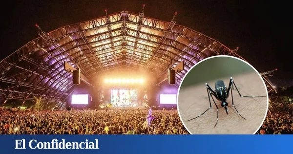 Sexo, cerveza y (cero) protector solar: un experimento en un festival revela el 'coctel' favorito de los mosquitos