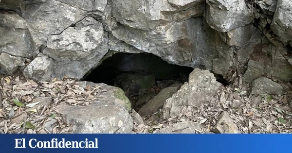 Entran en una cueva en Corea del Sur y hallan 4 'dragones' desconocidos para la ciencia