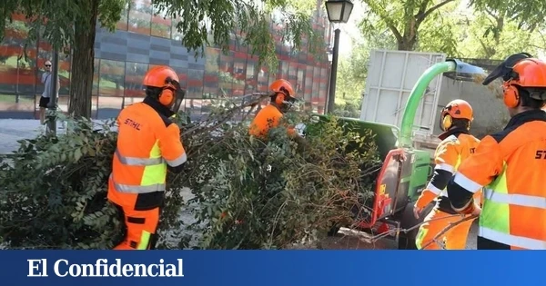 Todas las calles de Madrid que estarán cortadas esta semana por labores de conservación de arbolado y zonas verdes: listado completo