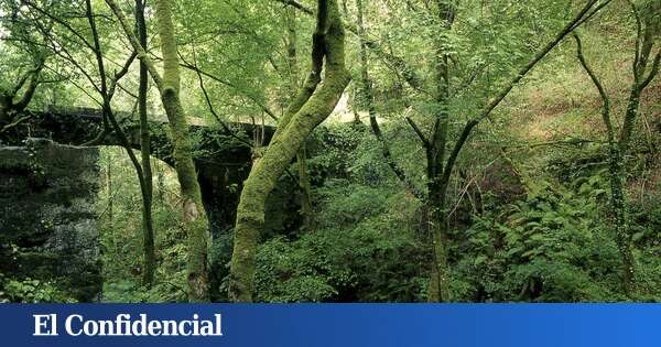 Esta es la ruta de senderismo más bonita de Galicia: perfecta para recorrer en invierno y a menos de una hora de A Coruña