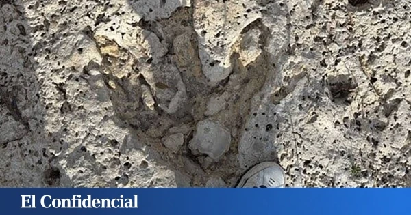 Una tormenta azota EEUU y deja al descubierto 15 'tesoros' ocultos durante 110 millones de años