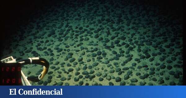 Ni algas ni plancton: estas rocas producen 