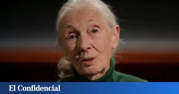 Jane Goodall, en una entrevista póstuma: 