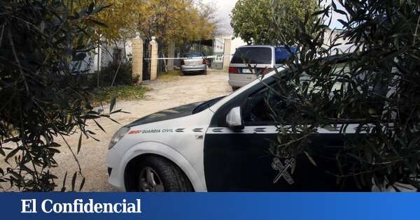 Confirman el origen humano de los restos óseos hallados en un camino de Moguer (Huelva)