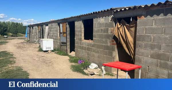 Entramos en los campamentos de los temporeros: vivir en granjas de cerdos y cobrar nóminas falsas