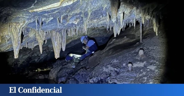 Exploran una cueva y lo que piensan que es basura resulta ser un 'tesoro' de una cultura perdida