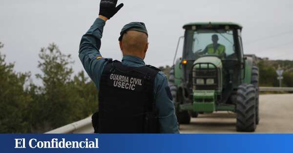 Inmovilizan 9 toneladas de aceitunas no aptas para consumo humano en un pueblo de Cáceres