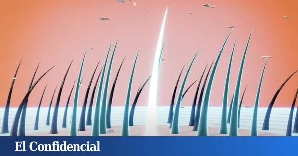 En 2024, científicos querían crear el cicatrizante definitivo: lo que lograron fue un nuevo remedio contra la alopecia