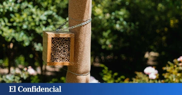 El motivo por el que Barcelona llenará sus parques y jardines de abejas y avispas voluntariamente