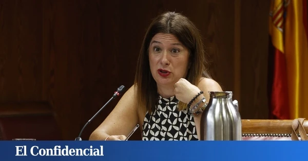 El juez del caso fontanera asume otras tres denuncias contra Leire Díez y sus colaboradores