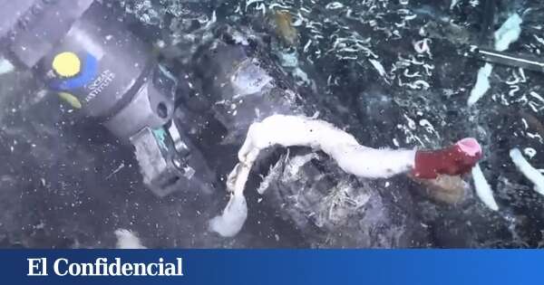 Levantan la corteza terrestre en el océano y descubren unos seres que no deberían estar ahí