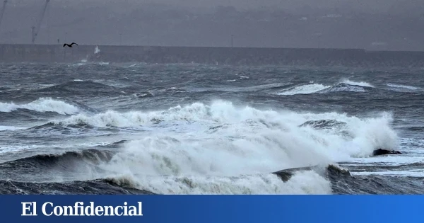 Muere un bañista ahogado en la playa del Puerto de Sóller (Mallorca)