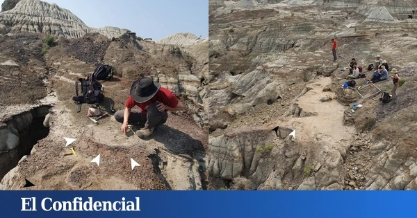 Encuentran unas impresionantes huellas de dinosaurios y demuestran algo que se creía imposible