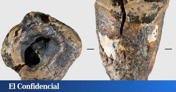 Un diente con 59.000 años revela que la odontología neandertal era digna de una película de terror