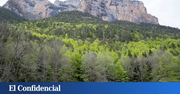 Mueren 27 vacas de una explotación ganadera de Rodeiro (Pontevedra) tras ser alcanzadas por un rayo