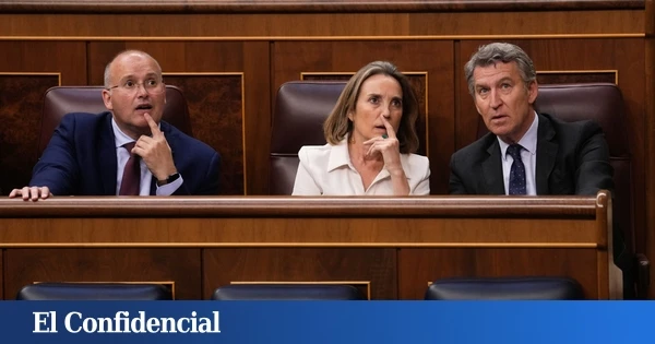Tellado gana enteros para ser el 'número dos' de Feijóo y Muñoz se posiciona como portavoz