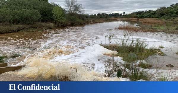 El agua vuelve a Doñana entre alertas de los expertos: 