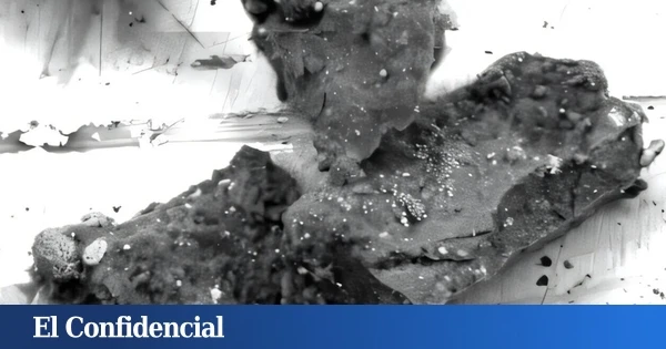 Japón analiza un trozo de asteroide y encuentra algo que no debería estar ahí: solo hay dos opciones