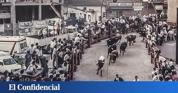 La Pamplona chica cumple 500 años: cómo han llegado hasta hoy los encierros más castizos
