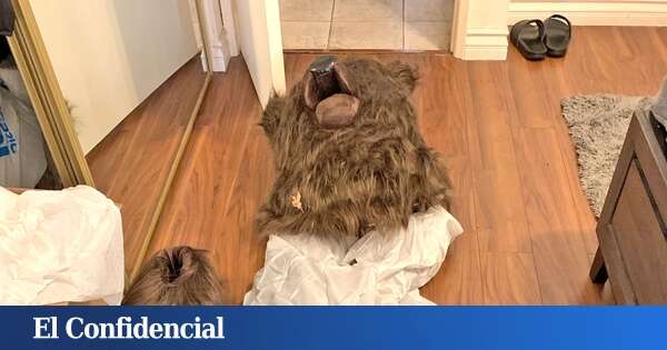 Consiguen casi 150.000 dólares por disfrazarse de oso y atacar coches de lujo: la surrealista historia que ha acabado con cuatro detenidos en EE.UU