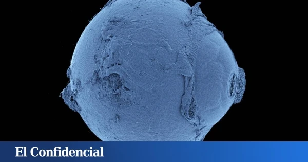 El mapa del cuerpo humano más completo creado hasta la fecha revela estructuras ocultas nunca vistas de nuestro organismo