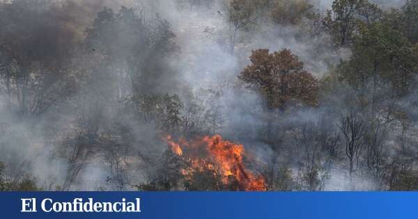 Muchas zonas ya quemadas volverán a arder este verano: sabemos cuáles y por qué