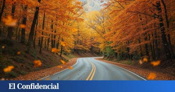 Los peligros de conducir en otoño: así debes preparar tus neumáticos para evitar sobresaltos en esta época del año