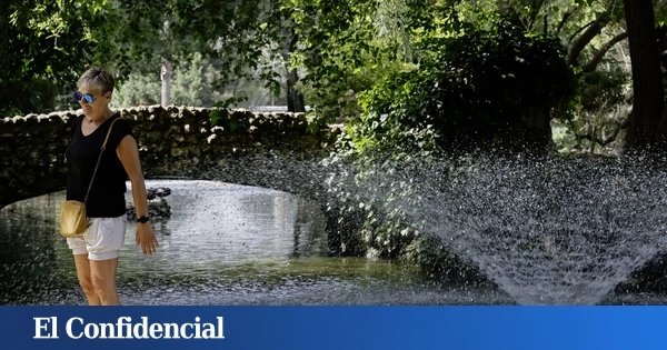 Sevilla cierra el jardín del Alcázar por la gripe aviar: 