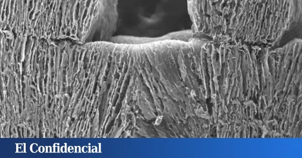Hong Kong afirma haber creado un material que desala el agua del mar sin gastar energía