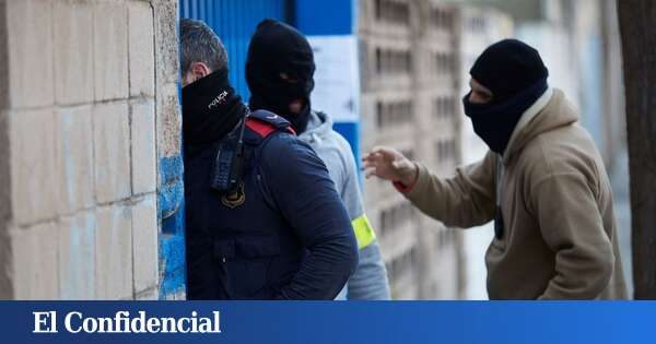 Los Mossos intervienen 3.000 plantas de marihuana y detienen a ocho personas en Mataró