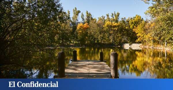 Ruta de senderismo con bosque finlandés a una hora de Madrid: con cabaña, puente y embarcadero